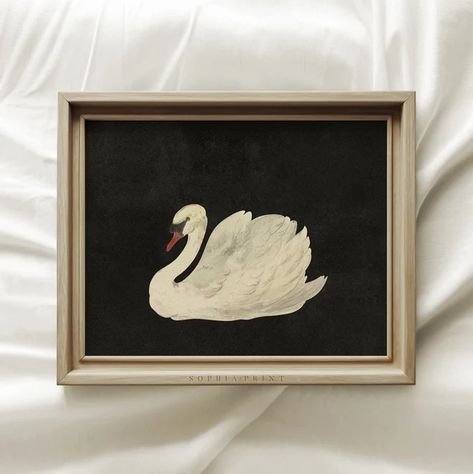 SophiaPrint - Etsy Swan Watercolor, Swan Drawing, Swan Wall Art, Swan Painting, Vintage Swan, Swans Art, Swan Print, Watercolor Printable, Art Minimaliste