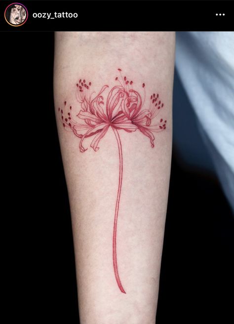 Red Japanese Flower Tattoo, Spider Lily Tattoo Meaning, Japanese Spider Lily Tattoo, Japanese Spider Lily, Lilly Tattoo Design, Lily Tattoo Meaning, Spider Lily Tattoo, Lillies Tattoo, Lily Tattoo Design