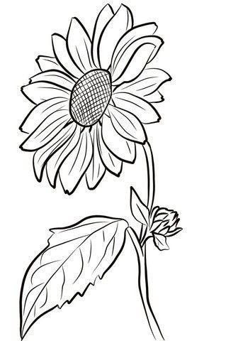 #Gambar #Bunga #Matahari #Yang #Belum #Diwarnai Sunflower Coloring Page, Hur Man Ritar Blommor, Sunflower Coloring, Printable Sunflower, Sunflower Sketches, Journal Drawings, Sunflower Stencil, Sunflower Coloring Pages, Leaf Coloring Page