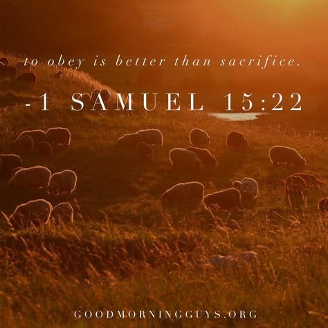 To obey is better than sacrifice. 1 Samuel 15:22 1 Samuel 15:22, Sunday Scriptures, 1st Samuel, Book Of Samuel, 1 Samuel 15, Sunday Scripture, Verses To Read, His Grace Is Sufficient, Bible Maps