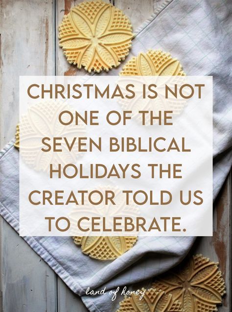 christmas is not one of the seven biblical holidays the creator told us to celebrate. | Land of Honey Biblical Christmas Traditions, Biblical Holidays 2023, Not Celebrating Christmas, Christian Christmas Traditions, Jewish Holiday Calendar, Biblical Holidays, Biblical Christmas, Jewish Christmas, Biblical Feasts