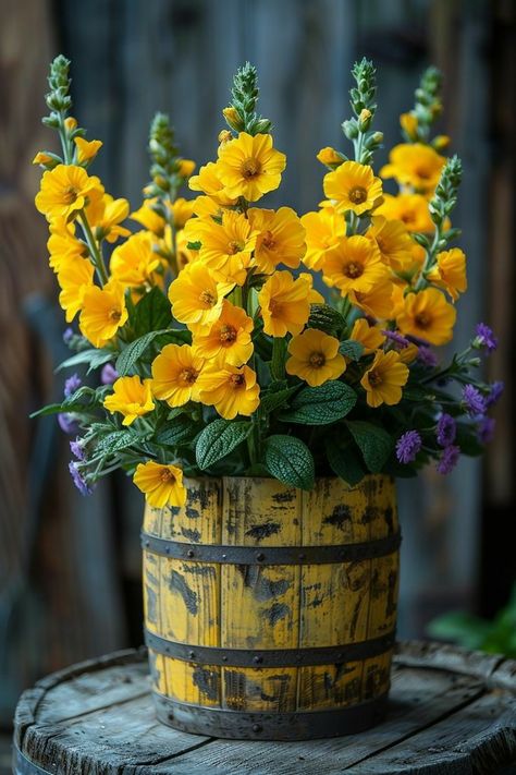 Plants In Small Spaces, Container Garden Ideas, Luxury Flower Bouquets, Birthday Wishes Flowers, Very Beautiful Flowers, Grow Plants, Lovely Flowers Wallpaper, Flower Landscape, Just Imagine