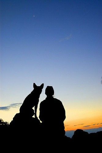 A Man And His Dog, Man And Dog Aesthetic, Man With Dog Drawing, Man With Dog Photography, Man And Dog Silhouette, Man And Dog Drawing, Dog With Man, My Dog And Me, Dog And Me