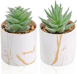 Der Rose Set of 2 Succulents Plants Artificial Mini Fake Succulents Plants for Home Office Desk Accessories for Women Home Office Desk Decor, Cute Desk Accessories, Artificial Plants Indoor, Fake Plants Decor, Fake Succulents, Succulents Plants, Plants Succulents, Mini Succulents, Artificial Succulents