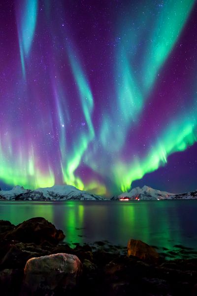 The Northern Lights are an incredible product from nature (much like UNREAL candy) - everyone should experience them in real life! Cer Nocturn, See The Northern Lights, Tromso, The Northern Lights, The Aurora, The Night Sky, Future Travel, Alam Yang Indah, Travel Experience