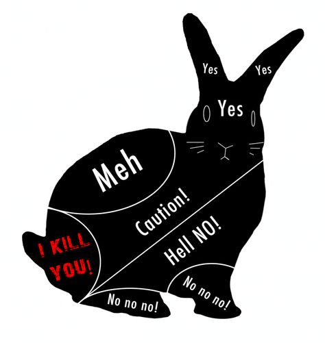 bunny-petting-chart Tapsi Hapsi, Pet Rabbit Care, Raising Rabbits, Pet Bunny Rabbits, Bunny Care, Bunny Cages, Bunny Mom, Rabbit Care, House Rabbit