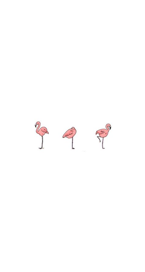 Pretty pink flamingos Pink Flamingos, Flamingo, Iphone, Pink, White