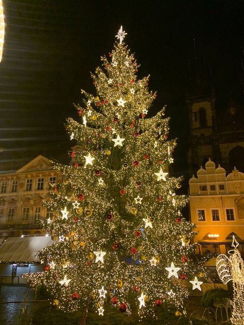 Prague Aesthetic, Euro Winter, Prague Christmas Market, Prague Charles Bridge, Prague Winter, Prague Christmas, Euro Travel, Vlog Aesthetic, Holidays In New York