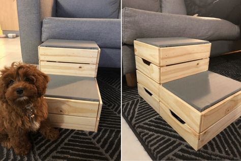 I decided to hack the dog steps after watching my puppy struggle to get onto the couch. The options online didn't suit our decor and we needed an option quite quickly. The project only took me an hour to make and the cost was low as I already had the other tools. The total cost I paid was $32.99. Diy Pet Stairs, Stairs With Storage, Ikea Dog, Ikea Crates, Dog Stairs For Bed, Cat Litter Cabinet, Dog Steps For Bed, Dog Stairs, Pet Stairs