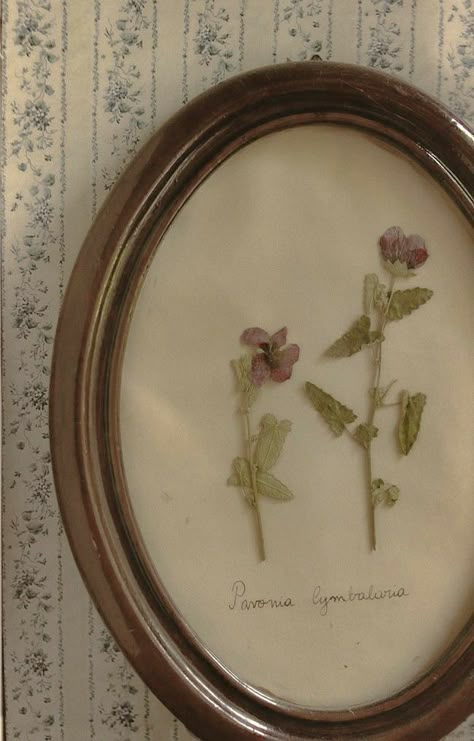 Coquette Aesthetic Wallpaper, Wallpaper Coquette, Grandma Aesthetic, Digital Pics, Music On Spotify, Photo Food, Vintage Coquette, Little Women, Pressed Flowers