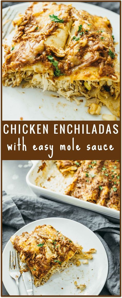 Easy Mole Sauce, Enchiladas Sauce, Mexican Mole Sauce, Shredded Chicken Enchiladas, Mexican Mole, Spicy Chocolate, Chicken Enchiladas Easy, Mole Sauce, Casserole Pan