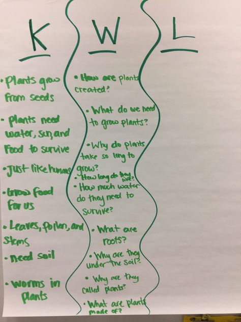 Plants KWL anchor chart. Kwl Chart Kindergarten, Inquiry Cycle, Kwl Chart, Plants Unit, Preschool Winter, Chart Ideas, Data Charts, Creative Curriculum, Winter Preschool