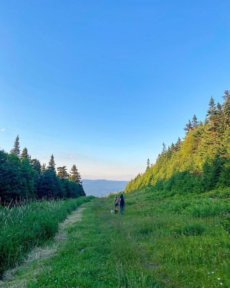 Outside Activities Aesthetic, Vermont In Spring, Summer In Vermont, Vermont Summer Aesthetic, Vermont Aesthetic Summer, Scottish Summer Aesthetic, Curly Hair Flowers, Northeast Summer, Vermont Countryside