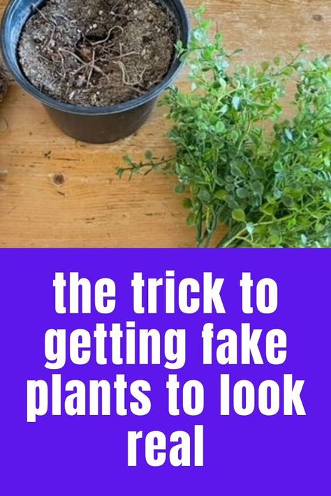 If you're a pro at killing plants check out this easy plant hack to decorate your living room, bedroom, kitchen or entryway with fake plants but make them look expensive and real. Pool Noodle Plant Hack, Diy Fake Flowers For Outside, Fake Hanging Plants Outdoor, Fake Plants That Look Real, Faux Plant Landscaping, How To Decorate With Artificial Plants, Faux House Plants, How To Decorate With Fake Plants, How To Clean Artificial Plants