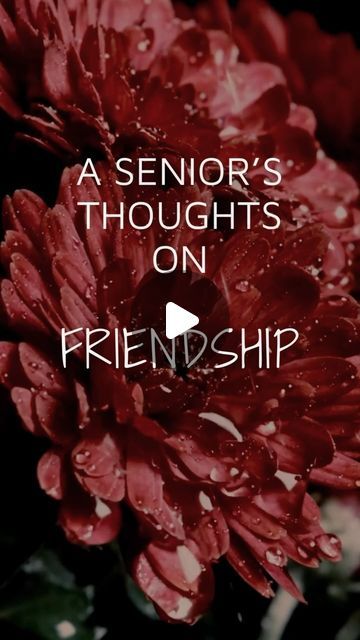 Senior News and Media on Instagram: "A Senior’s Thoughts on Friendship ❤️✨🦋 #SeniorLiving #friendship #aging #grandparents" Senior Junior Friendship Quotes, Thoughts On Friendship, Friendship Thoughts, On Friendship, Senior Living, June 22, Friendship Quotes, Instagram A, Tell Me