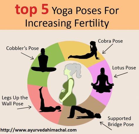 Increasing Fertility, Fertility Yoga Poses, How To Increase Fertility, Increase Fertility, Fertility Yoga, Fertility Doctor, Fertility Health, Fertility Diet, Fertility Boost