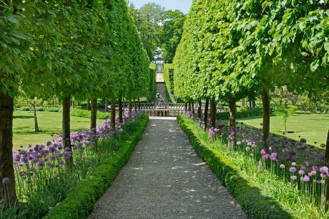 13 Stunning Garden Allées Buscot Park, Shade Tolerant Plants, Dallas Arboretum, Formal Garden, Longwood Gardens, Formal Gardens, Outdoor Landscaping, Landscape Architect, Design Case