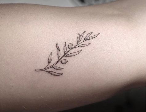 Olive Stamp Tattoo, Greek Olive Tattoo, Olive Branch Tattoo Hand, Olive Branch Tattoo Forearm, Olive Branch Wrist Tattoo, Olive Tree Branch Tattoo, Tattoo Women Patchwork, Olive Branch Meaning, Tattoos Italy