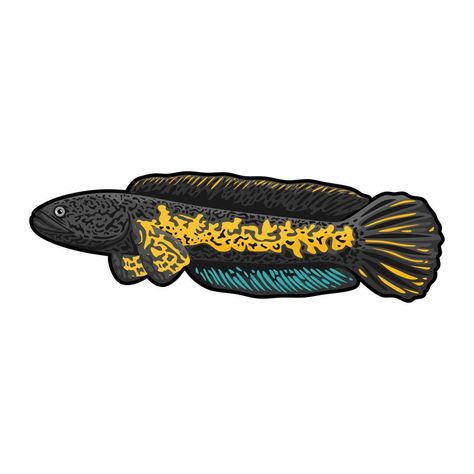 Chana Maru, Channa Fish Logo, Channa Fish, Ikan Channa, Yellow Fish, Fish Vector, Fish Logo, Electronics Design, Diy Electronics