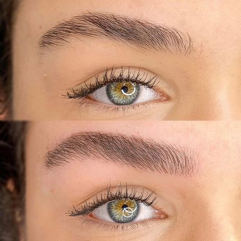 Feathering Tattoo: The Trendiest Microblading Pattern ATM Feather Brows Microblading, New Eyebrows, Feathered Eyebrows, Eyebrow Feathering, Brow Goals, Microblading Aftercare, Tattoo Eyebrows, Contouring Techniques, Feather Brows