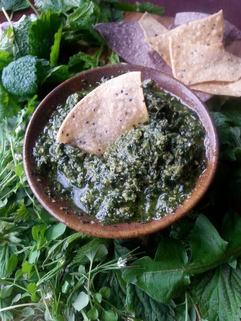 my favourite dandelion pesto Dandelion Pesto Recipe, Garlic Mustard, Pesto Recipes, Green Pesto, Foraged Food, Pickled Veggies, Herbal Recipes, Dandelion Recipes, Edible Food