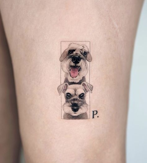 Multiple Dogs Tattoo, Pet Tatoos Ideas, Dog Color Tattoo, Pet Memory Tattoos, Schnauzer Tattoo Minimalist, Mini Schnauzer Tattoo, Miniature Schnauzer Tattoo, Dog Portrait Tattoo Ideas, Schnauzer Tattoo