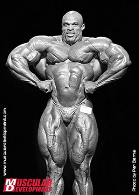 Ronnie Coleman Mr Olympia Winners, Back Routine, Arnold Schwarzenegger Bodybuilding, Schwarzenegger Bodybuilding, Muscle Milk, Gym Wallpaper, Muscular Development, Bodybuilding Pictures, Muscular Man