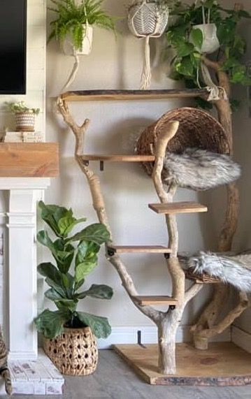 Wire Hanger Cat Bed, Diy Decor With Sticks, Cat Tree With Real Tree, Diy Cat Tree Driftwood, Cat Tree In Living Room, Diy Cat Tree Wall, Catification Apartment, Aesthetic Cat Tower, Cat Wall Furniture Diy