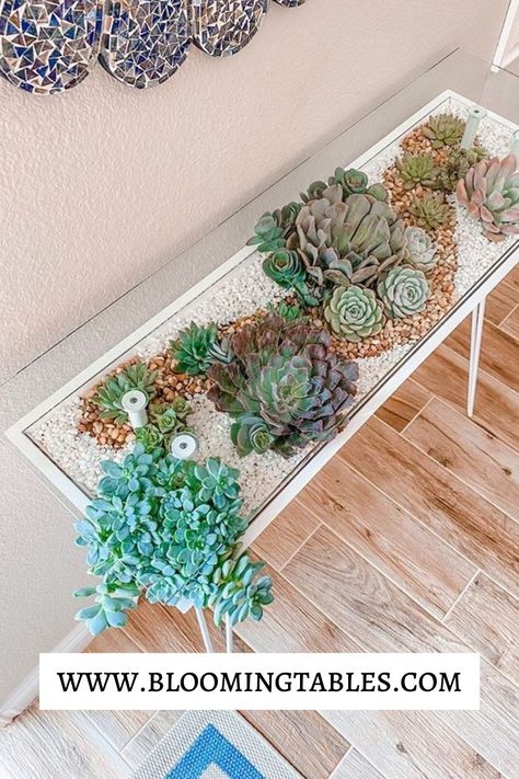 Blooming Table is the perfect apartment therapy you can have during a full sun day in your living room, your bedroom or anywhere in your home. Diy Succulent Table, Blooming Table Diy, Blooming Table, Table Terrarium, Terrarium Table, Succulent Table, Plantas Interior, Gecko Terrarium, Perfect Apartment