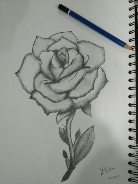 My first rose shading🌹  -KVaishu Shaded Rose Drawing, Rose Drawing Shading, Rose Shading, Dark Doodles, Flower Shading, Shade Roses, Shading Drawing, Earth Drawings, Rose Sketch