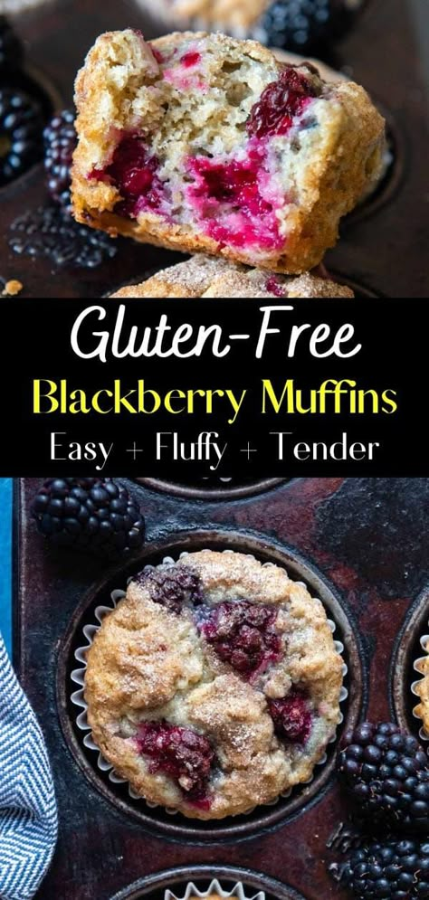 Look no further for the best blackberry muffin recipe. These quick and easy gluten-free and dairy-free muffins are tender and fluffy with juicy blackberries and a crunchy cinnamon sugar topping. Gluten Free Blackberry Muffins, Blackberry Muffins Healthy, Blackberry Muffins Easy, Blackberry Muffin Recipe, Blackberry Muffins, Blackberry Muffin, Dairy Free Muffins, Fruit Muffins, Blackberry Recipes