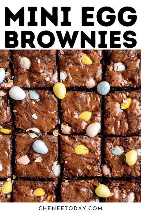 These mini egg brownies are so easy and are one of the best Easter Cadbury brownie recipes! These mini egg chocolate brownies are sure to be a hit! #brownies #brownie #brownierecipes #easterrecipes #easterdessert Cadbury Brownies, Cadbury Mini Egg Recipes, Cadbury Egg Recipes, Mini Egg Brownies, Mini Egg Recipes, Walnut Brownie Recipe, Easter Brownies, Recipes For Easter, Fudgy Chocolate Brownies