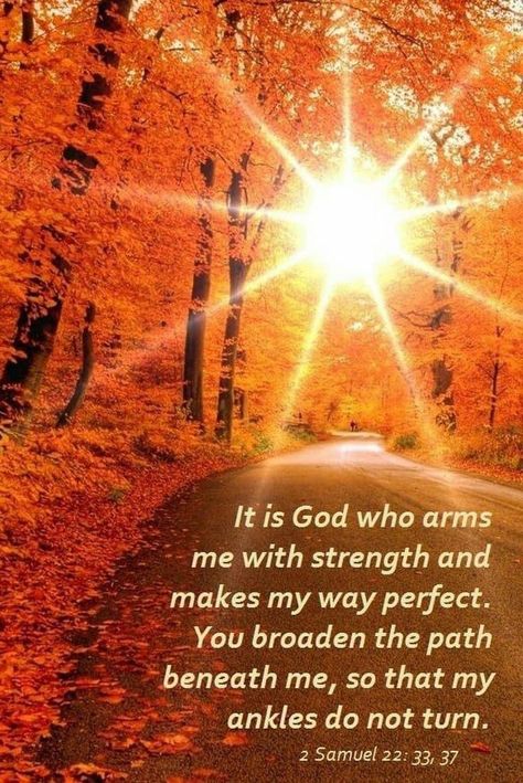 Fall Bible Verses, Beautiful Scripture, Bible Truth, Inspirational Bible Verses, Jesus Is Lord, Scripture Quotes, Bible Inspiration, Scripture Verses, Faith In God