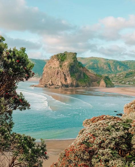 New Zealand Beach Aesthetic, Stewart Island New Zealand, Aloita Resort, Country To Visit, New Zealand Beach, New Zealand Adventure, Oceania Travel, Beautiful Cities, Countries To Visit