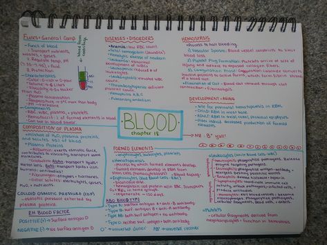 Colorful Flow Map, Handwriting Ideas, Nursing School Motivation, Collagen Fibers, Blood Groups, Concept Map, Red Blood Cells, Blood Test, Anatomy And Physiology