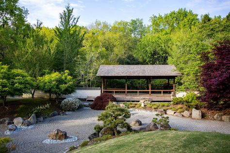 Garden Enthusiasts | Cheekwood Estate & Gardens Wisteria Arbor, Sloped Landscape, Estate Gardens, Boxwood Garden, Family Sculpture, Homeschool Field Trips, Estate Garden, Reflecting Pool, Community Outreach