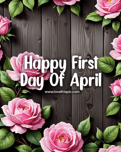 Pink Rose First Day Of April Quote april hello april april quotes happy april welcome april hello april quotes hello april images first day of april quotes happy first day of april Happy First Day Of April, Hello April Quotes, Seasons Quotes, April Hello, April Images, Welcome April, Pink Rose Pictures, April Quotes, April April