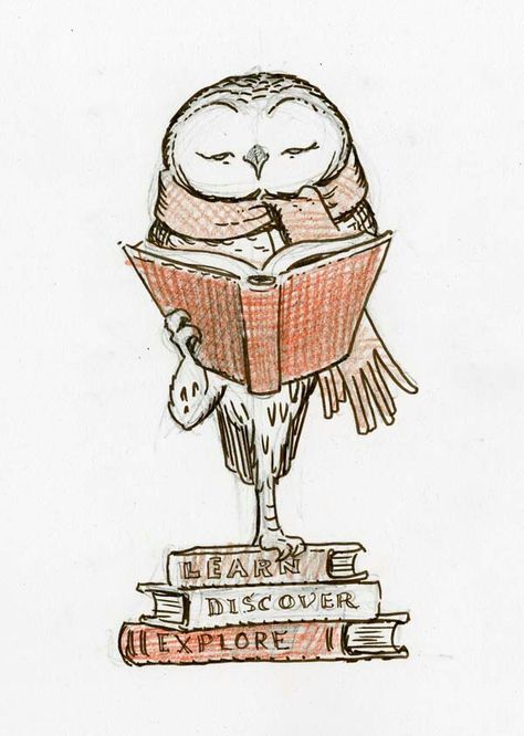 Library Drawing, Owl Doodle, Tony Diterlizzi, Owl Sketch, Owl Books, Owl Illustration, Owls Drawing, Sharpie Art, Owl Pictures