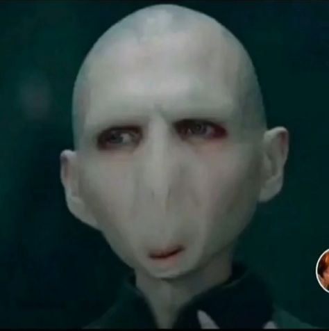 Harry Potter Mood Pics, Harry Potter Cursed Pictures, Voldemort Funny Face, Harry Potter Pfp Funny, Harry Potter Curses, Meme Harry Potter, Harry Potter Funny Pictures, Harry Potter Voldemort, Stile Harry Potter