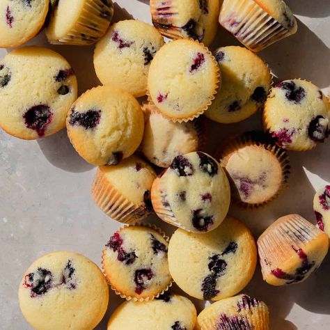 Mini Blueberry Muffins - Olives + Thyme Dairy Free Blueberry Muffins, Mini Blueberry Muffins, Mini Muffin Recipe, Homemade Blueberry Muffins, Easy Blueberry Muffins, Lemon Pudding Cake, Vanilla Muffins, Moist Lemon Cake, Bakery Style Muffins