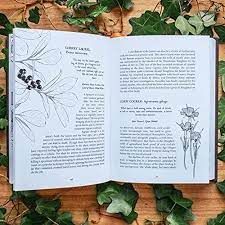 Poetry Elements, Lewis Carroll Alice In Wonderland, Deadly Plants, Toxic Plants, Medieval Era, Dummies Book, Witch Herbs, Folk Magic, Medieval Ages