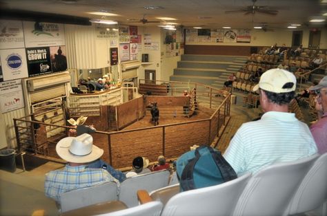 Amarillo Livestock Auction - 1 Livestock Auction Buyer Gifts, Show Box Ideas Livestock, Show Lambs Supplies, Livestock Auction, 4h Livestock Judging, Texas Vacation, Texas Vacations, Lab, Auction