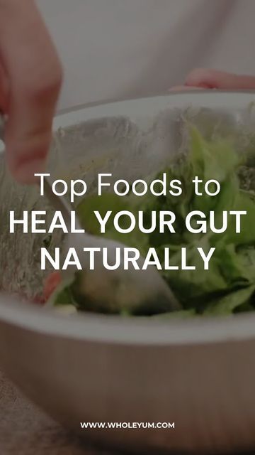 WholeYum on Instagram: "12 Natural Gut Healers for a Healthy Digestive System! 🌿

From fermented foods like pickles and kombucha to powerhouse herbs like turmeric and ginger, these gut healers will support a happy and healthy digestive system! 🦠✨

Try adding a few of these into your meals and feel the difference. 🌱

Follow @wholeyumm for more health tips for your mind and body! 💚

#GutHealth #HealthyLiving #Wholeyumm #Probiotics #HolisticHealth" Turmeric And Ginger, Healthy Digestive System, Happy And Healthy, Fermented Foods, Digestive System, Kombucha, Gut Health, Holistic Health, Probiotics