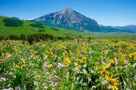 Colorado Activities, Mountain Scenes, Colorado Wildflowers, Lake Swimming, Crested Butte Colorado, Colorado Summer, Hiking Guide, Dude Ranch, Colorado Hiking