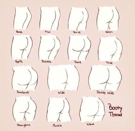 Body Type Drawing, Inkscape Tutorials, Body Drawing Tutorial, 캐릭터 드로잉, Female Anatomy, Anatomy Drawing, Poses References, Figure Drawing Reference, Body Drawing