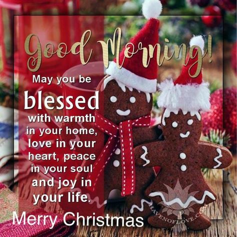 Good Morning Christmas Quotes, Christmas Greetings Quotes, Christmas Greetings Messages, Good Morning Christmas, Christmas Wishes Quotes, Morning Christmas, Good Morning Winter, Morning Tuesday, Christmas Verses