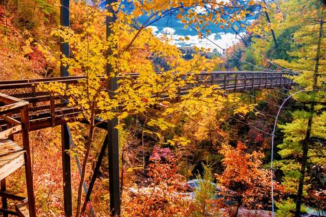 15 Best Things to Do in Clayton, GA Georgia Road Trip, Georgia Itinerary, Places To Visit In Georgia, Clayton Georgia, Tallulah Gorge, Georgia Trip, Southern Road Trips, Stone Mountain Park, Cloudland Canyon