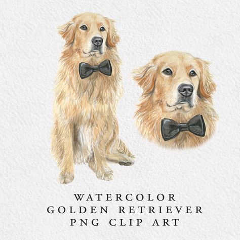 Golden Retriever Watercolor Painting, Golden Retriever Clipart, Golden Retriever Puppy Watercolor, Golden Retriever Wedding, White Golden Retriever Painting, Golden Retriever Art Paint, Golden Retriever Watercolor, Signature Wedding Drinks Sign, Chien Golden Retriever