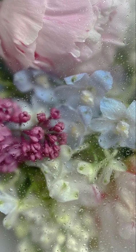 This image is a close-up of some beautiful pink flowers, with water droplets glistening on their delicate petals. The dominant color in the foreground and background is a soft grey, creating a serene and calming atmosphere. The colors are accented by a deep burgundy shade, adding depth to the composition. According to the tags provided, these flowers are most likely nature's creation. Modern Ranch House Exterior, Small Ranch House, Pink Geometric Wallpaper, House Exterior Ideas, Wet Flowers, Modern Ranch House, Ranch House Designs, Ranch House Exterior, Chinese Wallpaper