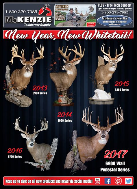 McKenzie #Taxidermy Supply Announces A New Whitetail For A New Year! Whitetail Deer Mounts Taxidermy, Whitetail Deer Mounts, Deer Taxidermy, Food Plots For Deer, Deer Mount Ideas, Deer Hunting Decor, Elk Pictures, Taxidermy Display, Animal Taxidermy